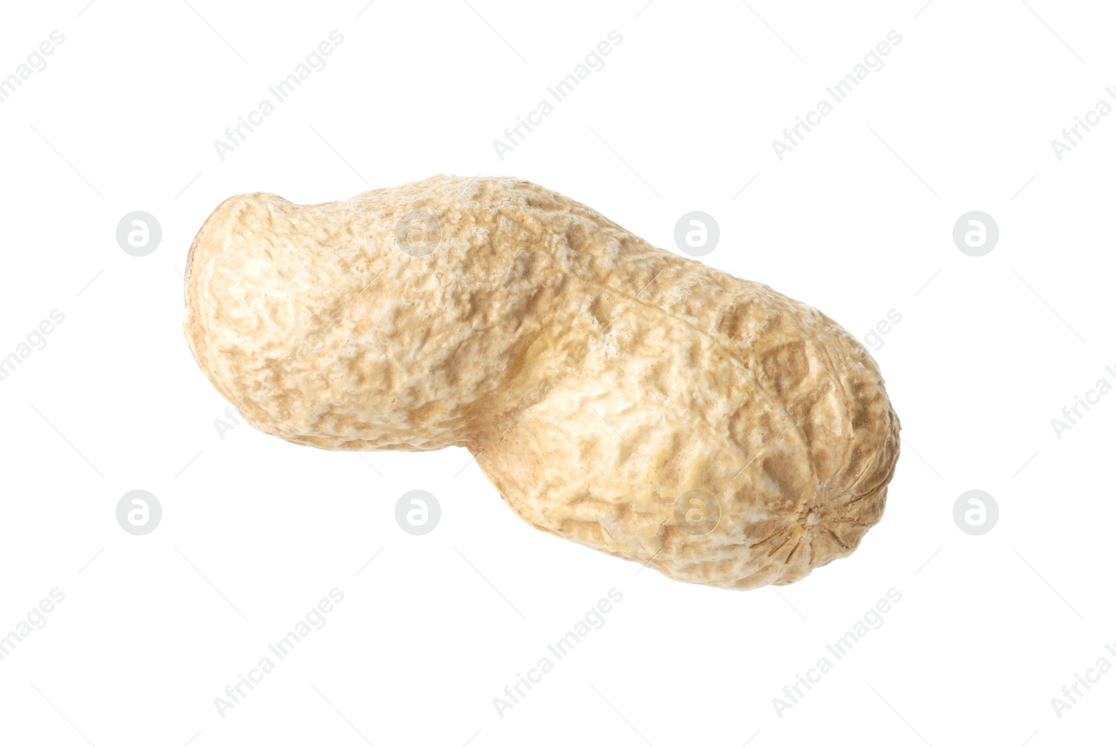 Photo of One fresh unpeeled peanut isolated on white