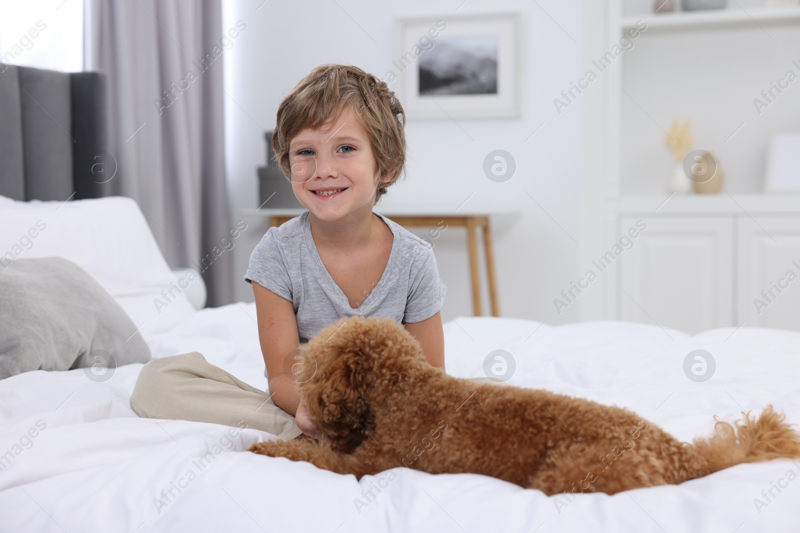 Photo of Little child and cute puppy on bed at home. Lovely pet