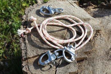 Photo of Climbing ropes with carabiners on tree stump