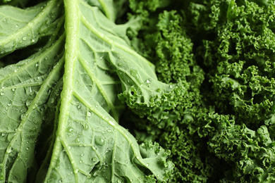 Photo of Fresh wet kale leaves as background, closeup