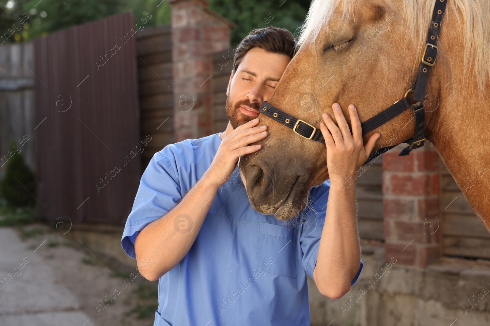 Photo of Veterinarian with adorable horse outdoors. Pet care