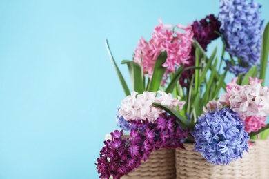 Photo of Beautiful hyacinths in wicker pots on color background, space for text. Spring flowers