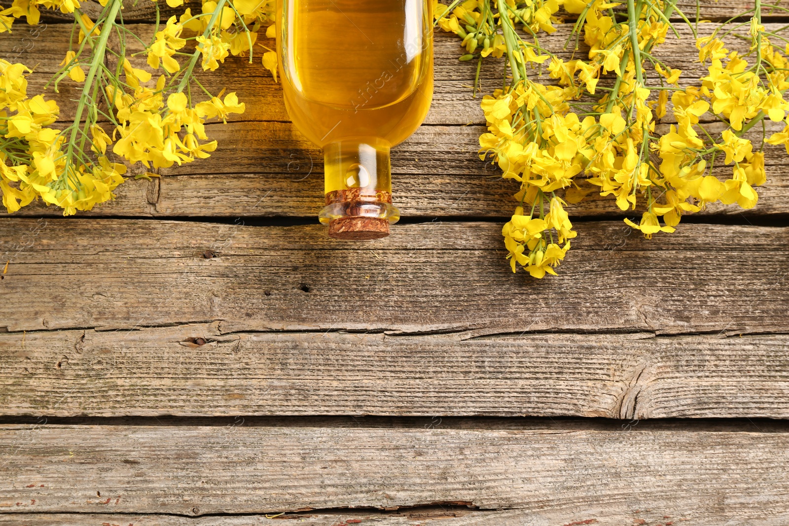 Photo of Rapeseed oil in glass bottle and beautiful yellow flowers on wooden table, flat lay. Space for text