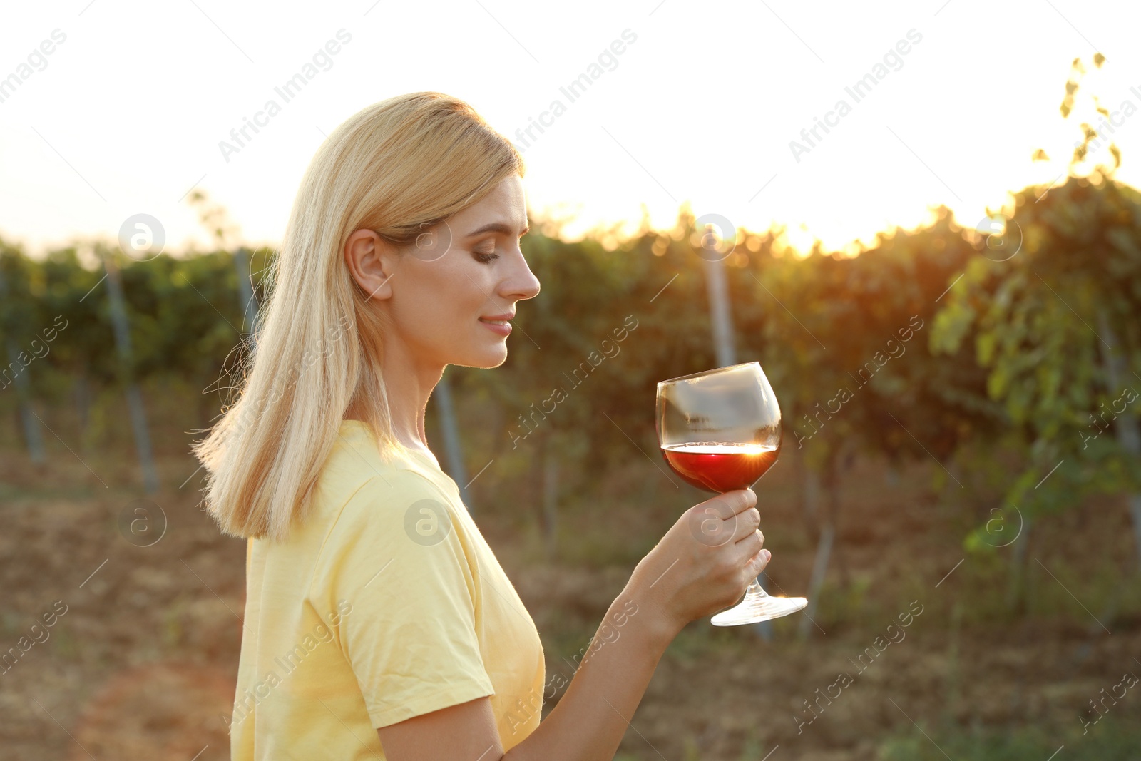 Photo of Young beautiful woman enjoying wine at vineyard on sunny day