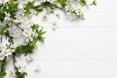 Cherry tree branches with beautiful blossoms on white wooden table, flat lay. Space for text