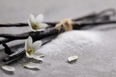 Photo of Vanilla pods, sugar, flowers and petals on gray textured table, closeup