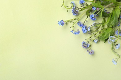 Photo of Beautiful blue forget-me-not flowers on light green background, flat lay. Space for text