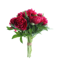 Bouquet of beautiful red peonies isolated on white