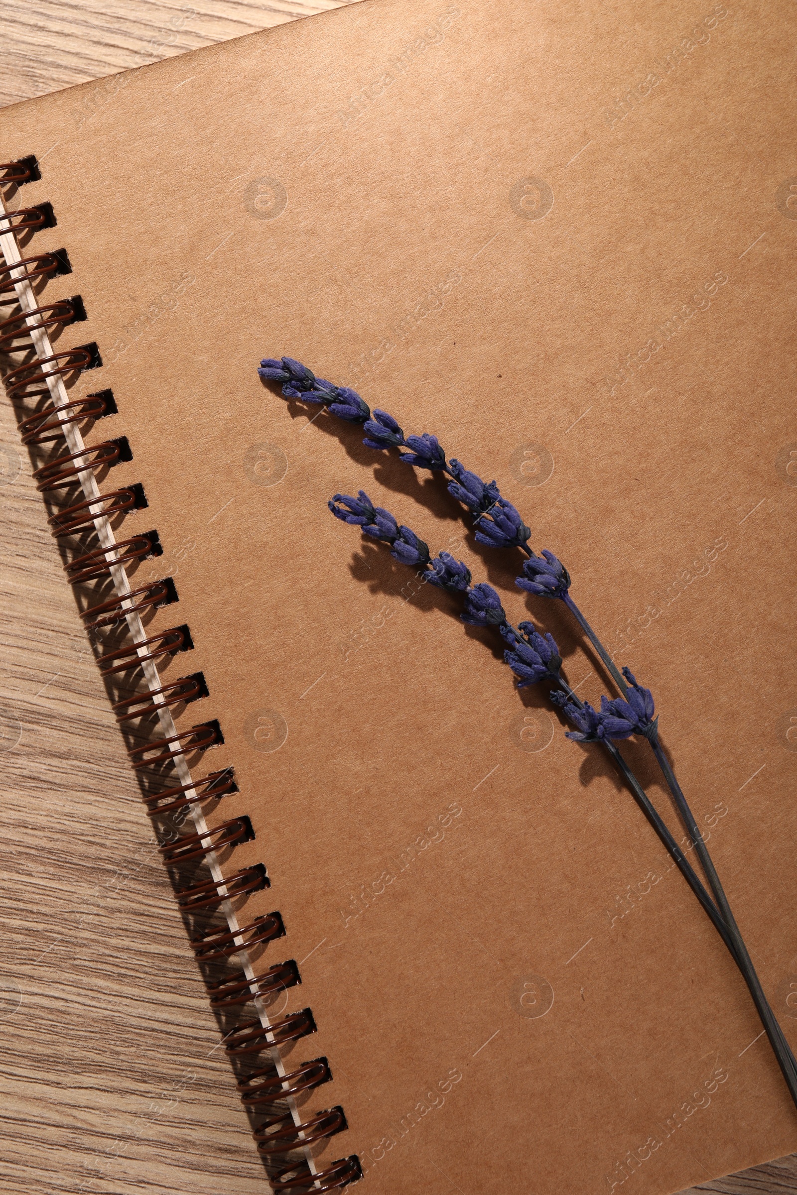 Photo of Beautiful preserved lavender flowers and notebook on wooden table, top view