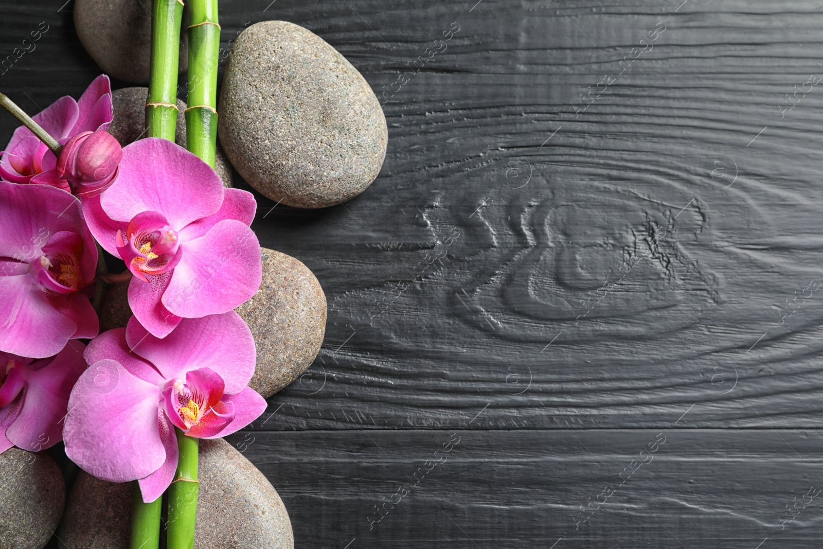 Photo of Spa stones with orchid flowers and bamboo on dark wooden background, top view. Space for text