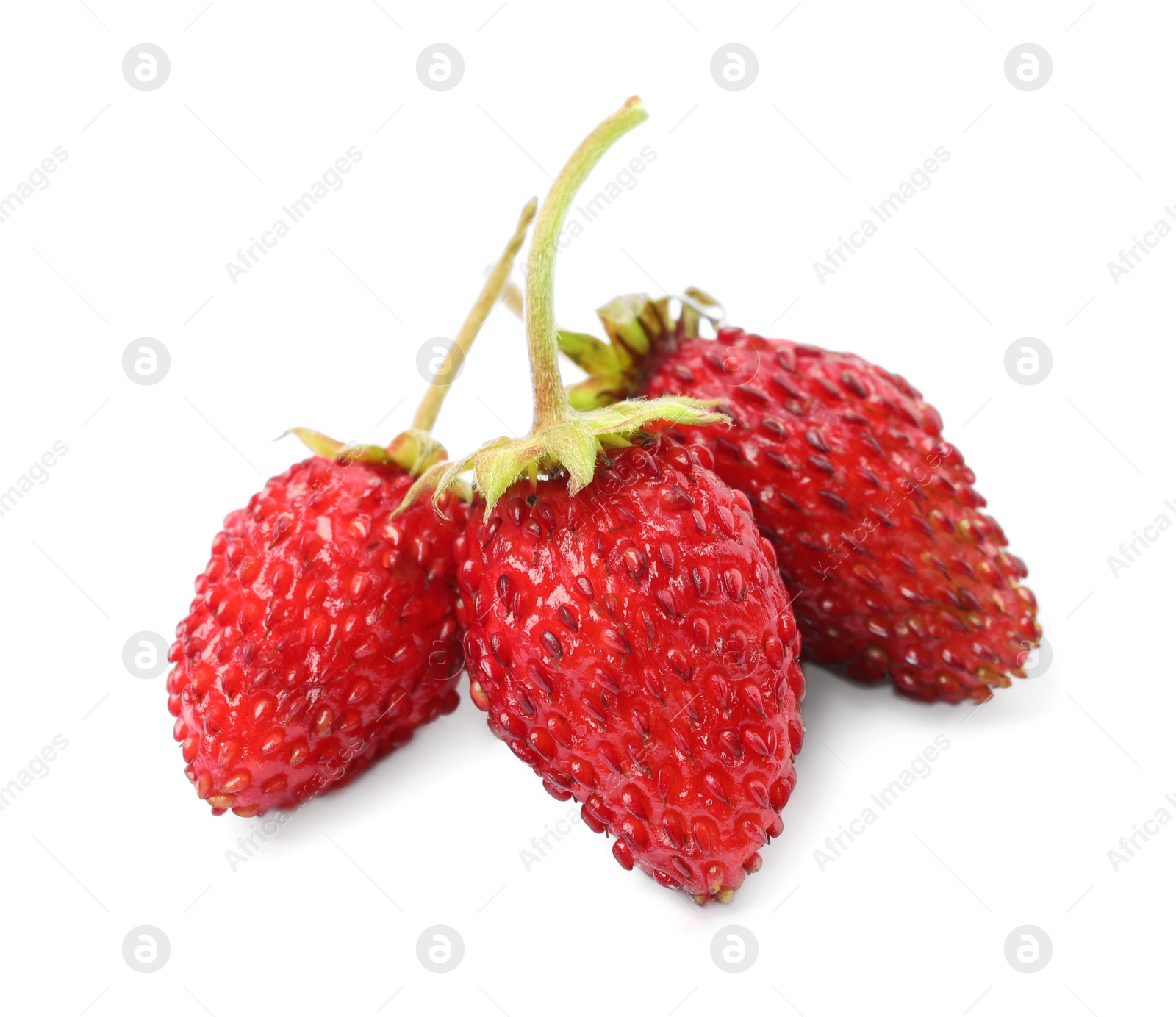 Photo of Ripe red wild strawberries isolated on white