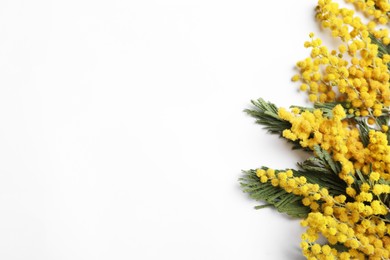 Photo of Beautiful mimosa flowers on white background, top view