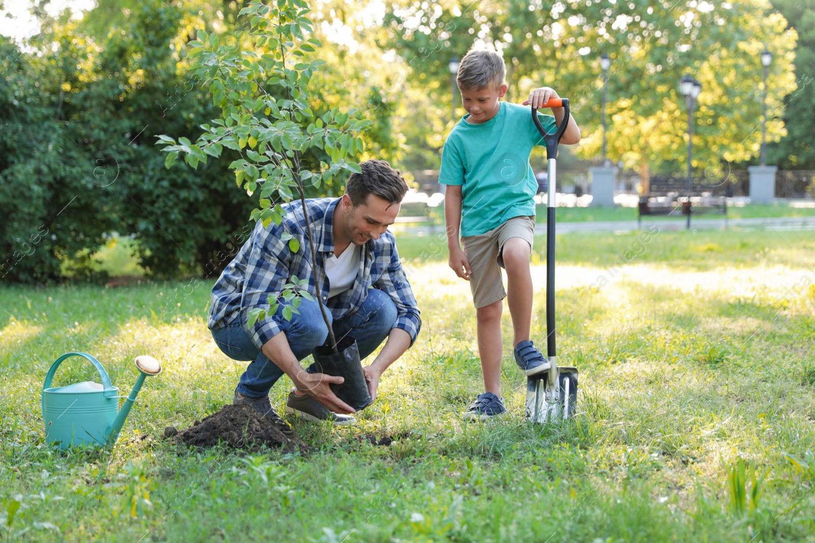 Photo of Dad and son planting tree in park on sunny day