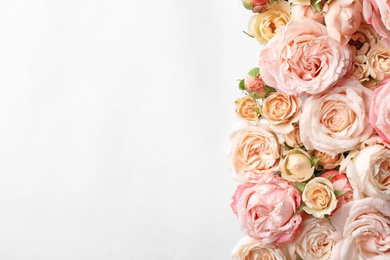 Photo of Flat lay composition with beautiful roses and space for text on white background