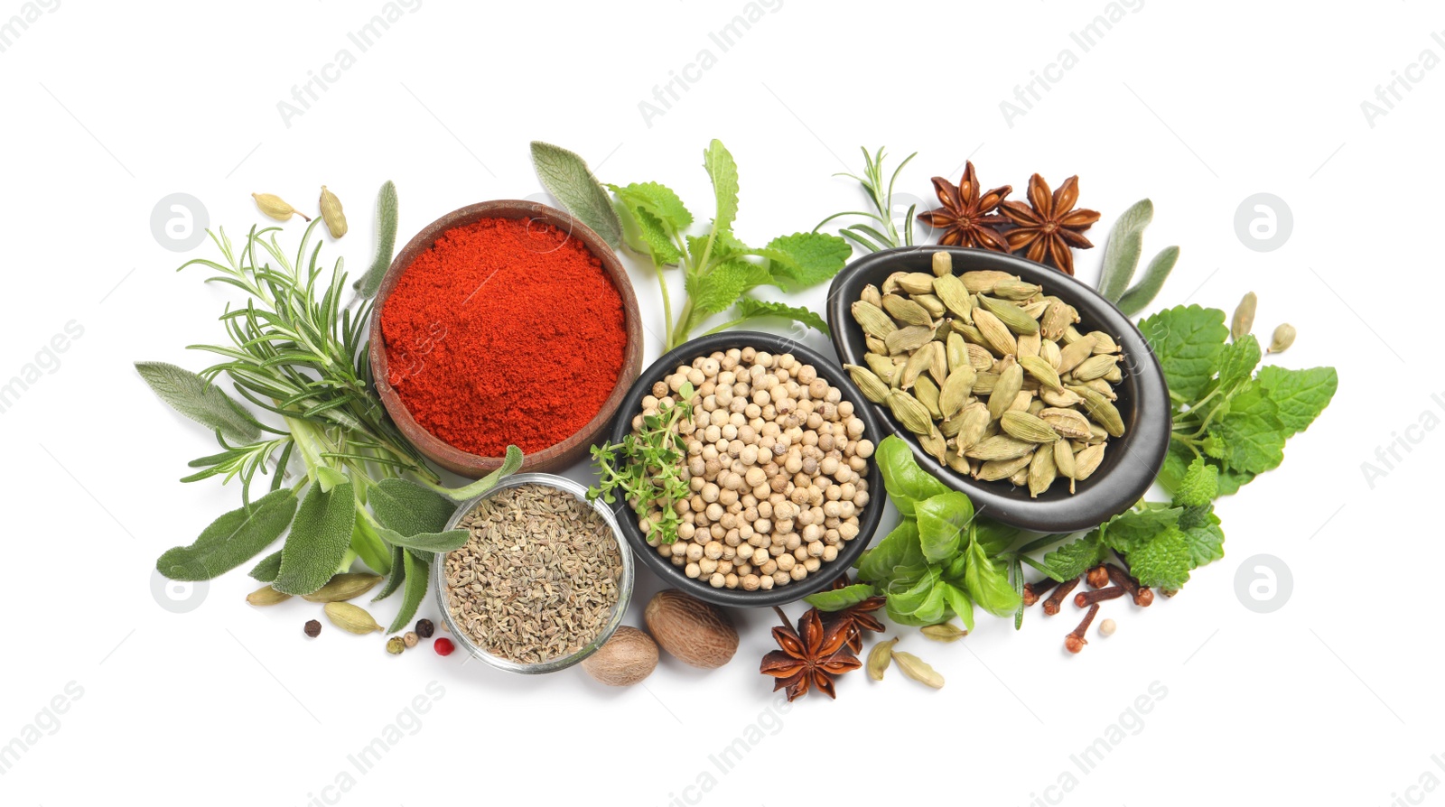 Photo of Different fresh herbs with aromatic spices on white background, top view