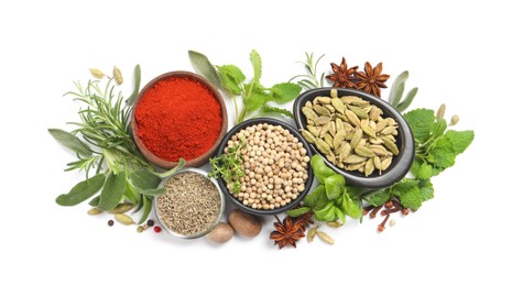 Photo of Different fresh herbs with aromatic spices on white background, top view