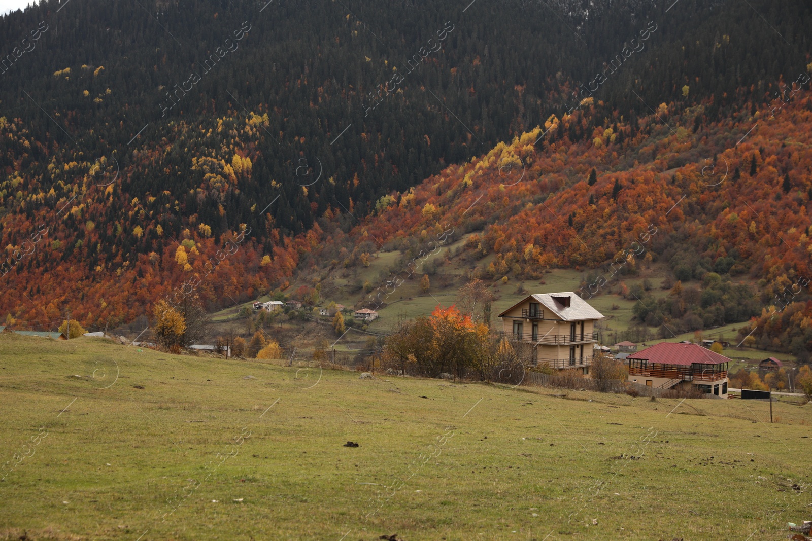 Photo of Picturesque landscape with forest and mountain village on autumn day