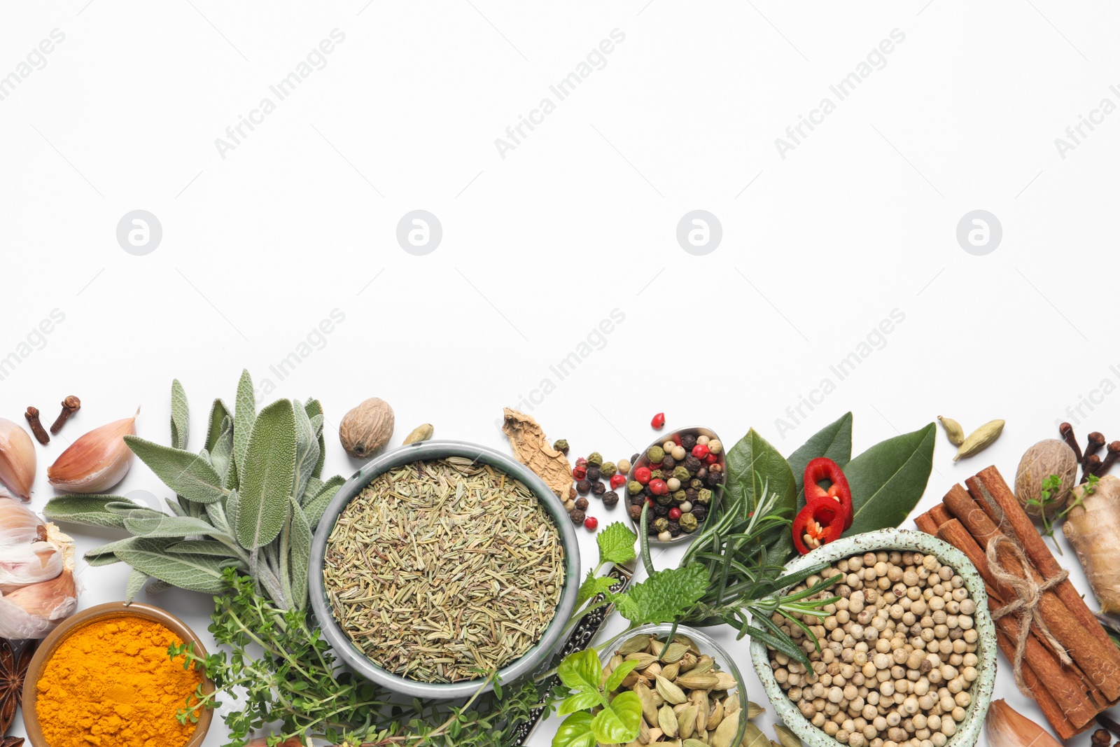 Photo of Different fresh herbs and spices on white background, top view