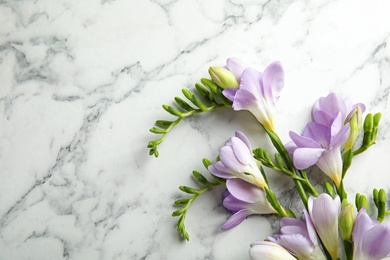 Beautiful fresh freesia flowers on marble background, top view. Space for text