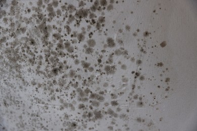 Photo of Wall damaged with indoor mold, closeup. Unsanitary environment