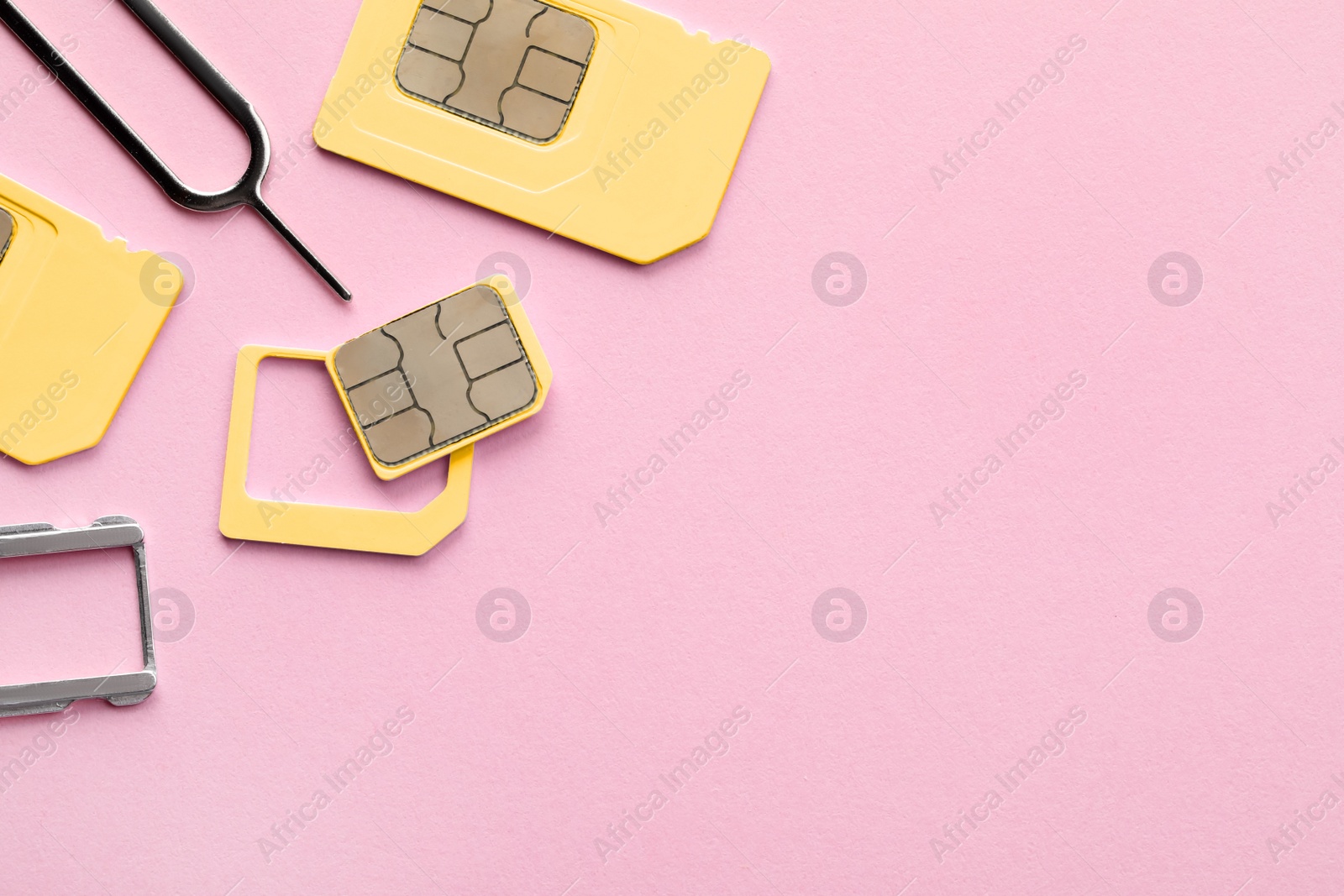 Photo of SIM card, tray and ejector on pink background, flat lay. Space for text