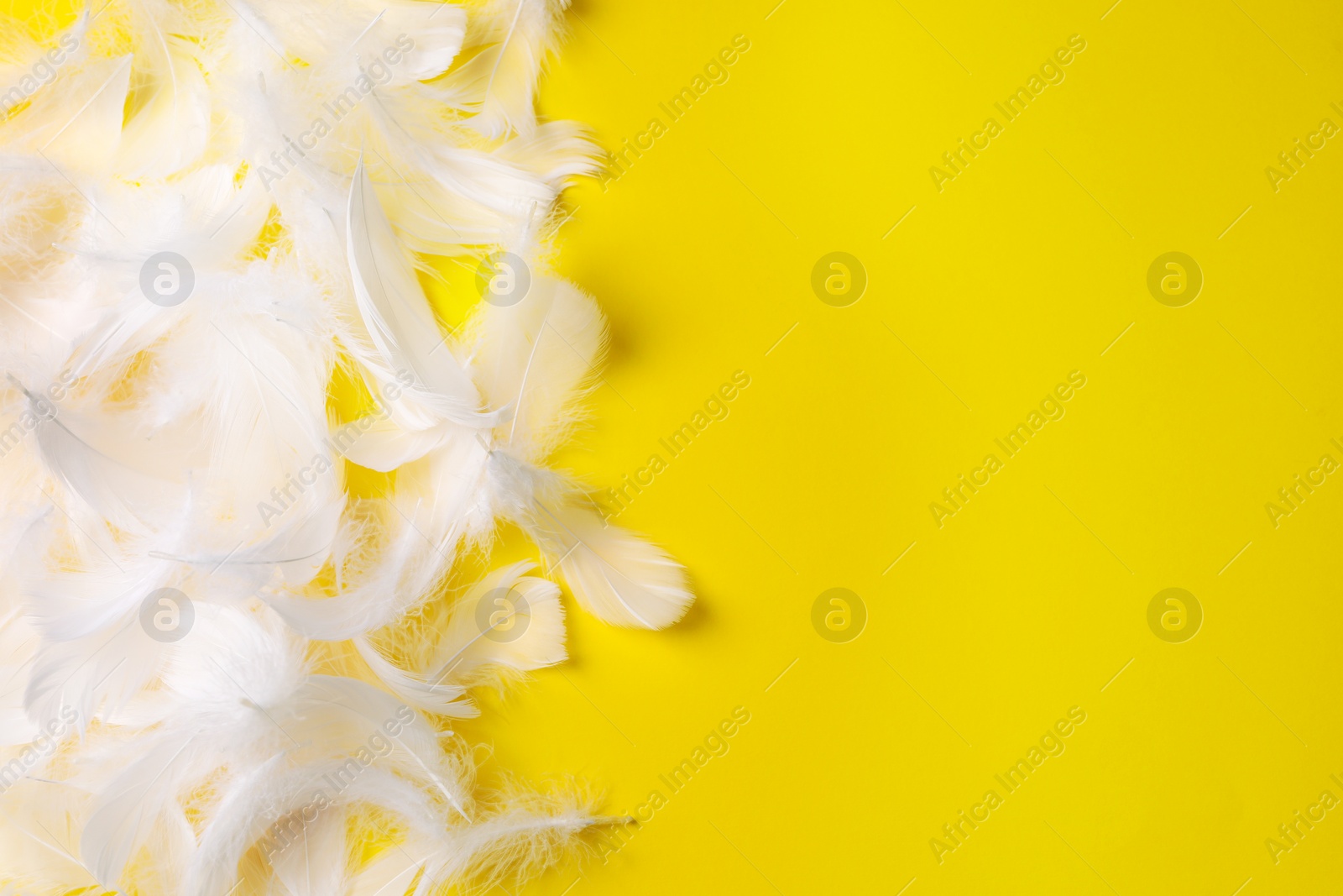 Photo of Many fluffy bird feathers on yellow background, flat lay. Space for text