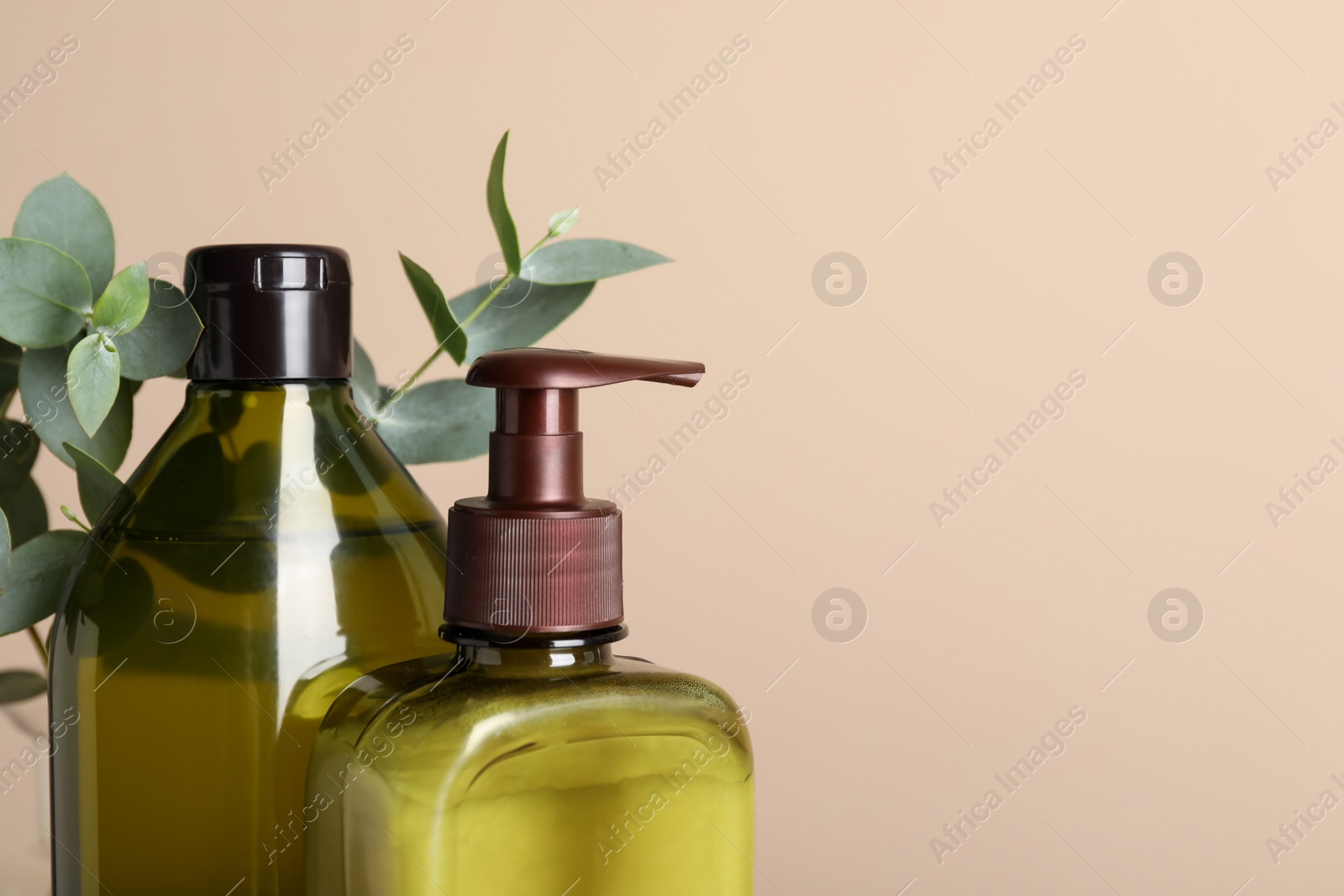 Photo of Bottles of shampoo near beige wall, closeup. Space for text