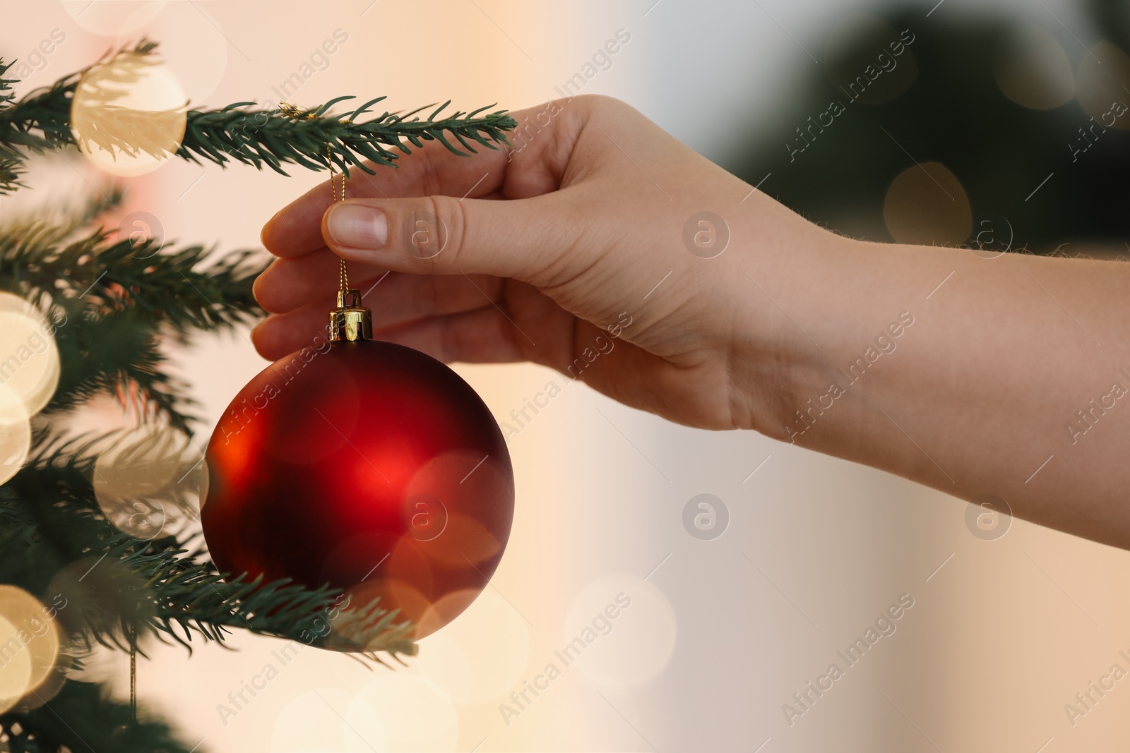 Photo of Woman decorating Christmas tree with red festive ball on light background, closeup