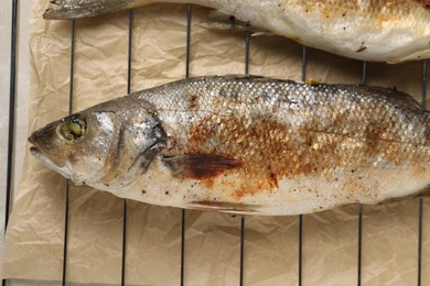 Photo of Baked fish on cooling rack, flat lay