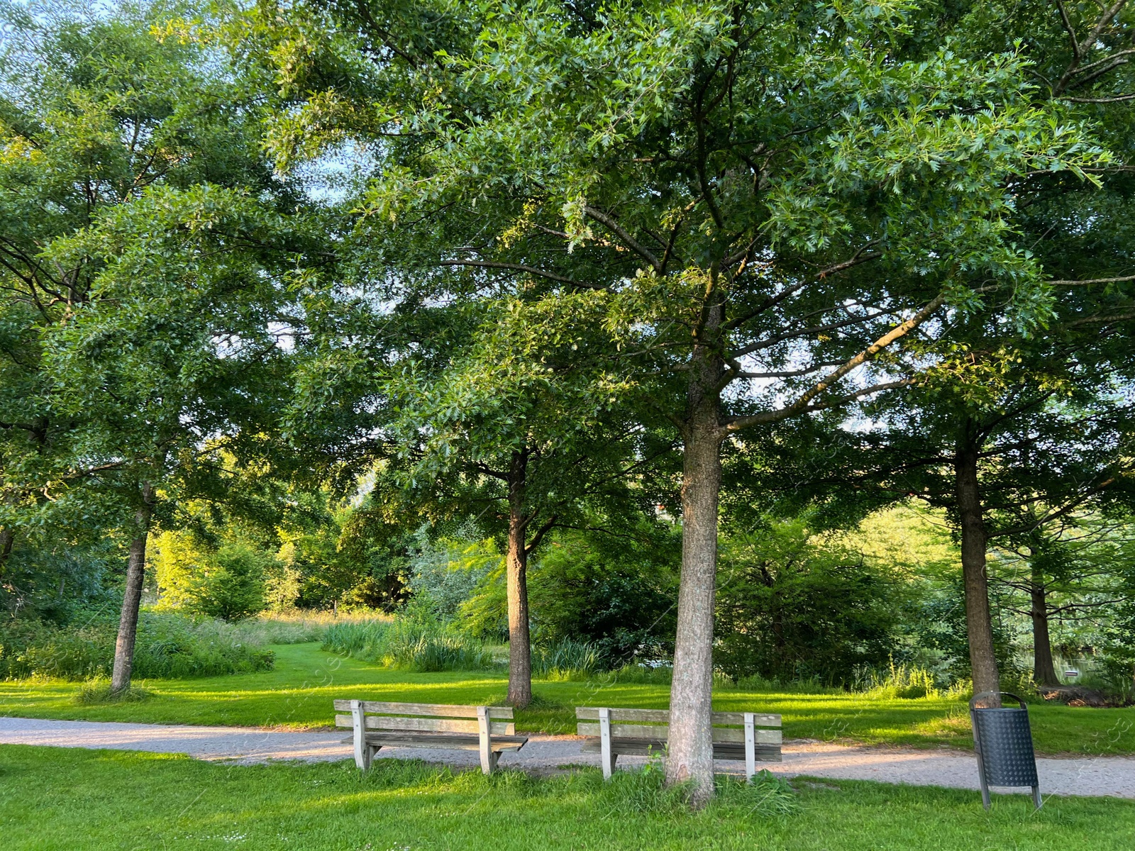 Photo of Picturesque view of beautiful park with fresh green grass and trees on sunny day