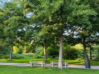 Picturesque view of beautiful park with fresh green grass and trees on sunny day