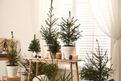 Photo of Potted fir trees and Christmas decorations on table near window in room. Stylish interior design