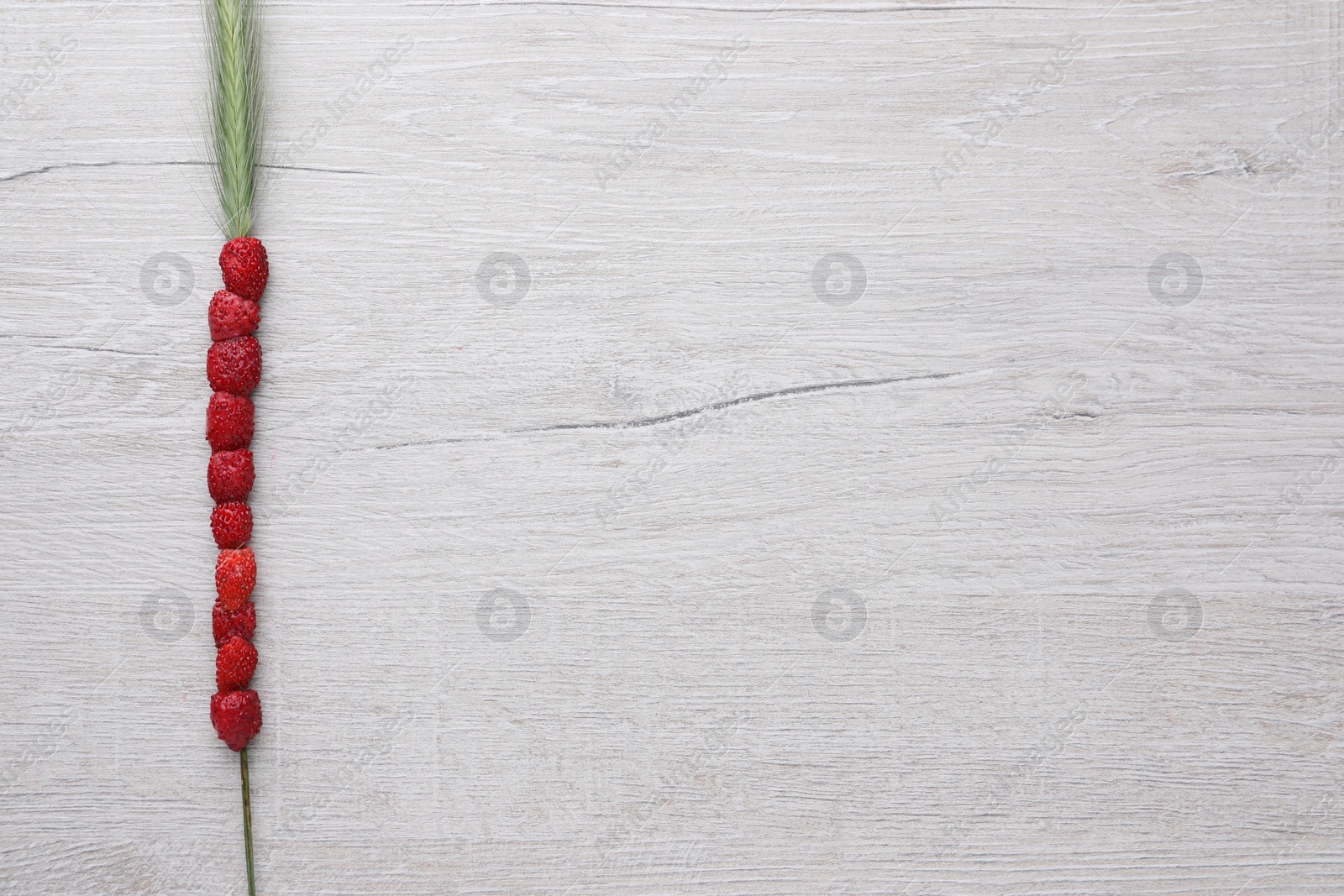 Photo of Grass stem with wild strawberries on white wooden table, top view. Space for text