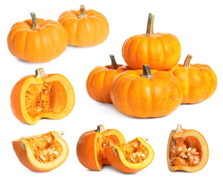 Image of Set of fresh pumpkins on white background