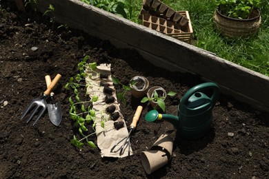 Photo of Many seedlings and different gardening tools on ground outdoors, above view
