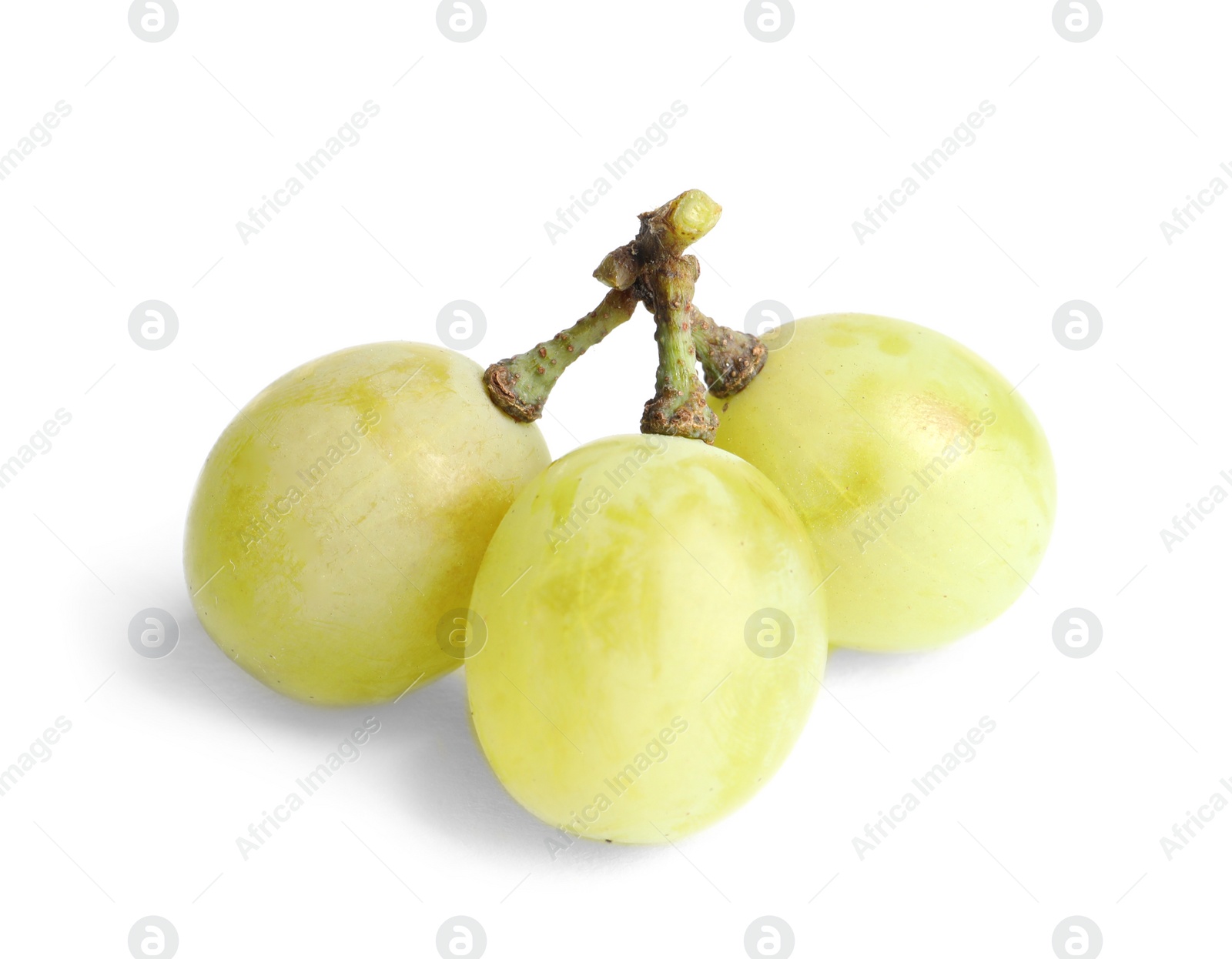 Photo of Fresh ripe juicy grapes isolated on white