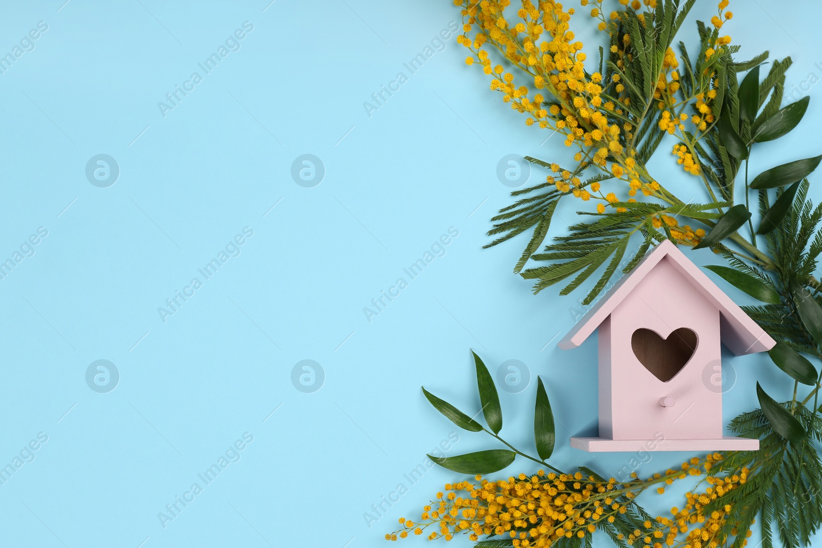 Photo of Stylish bird house and fresh mimosas on light blue background, flat lay. Space for text