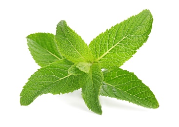 Photo of Fresh green mint leaves on white background