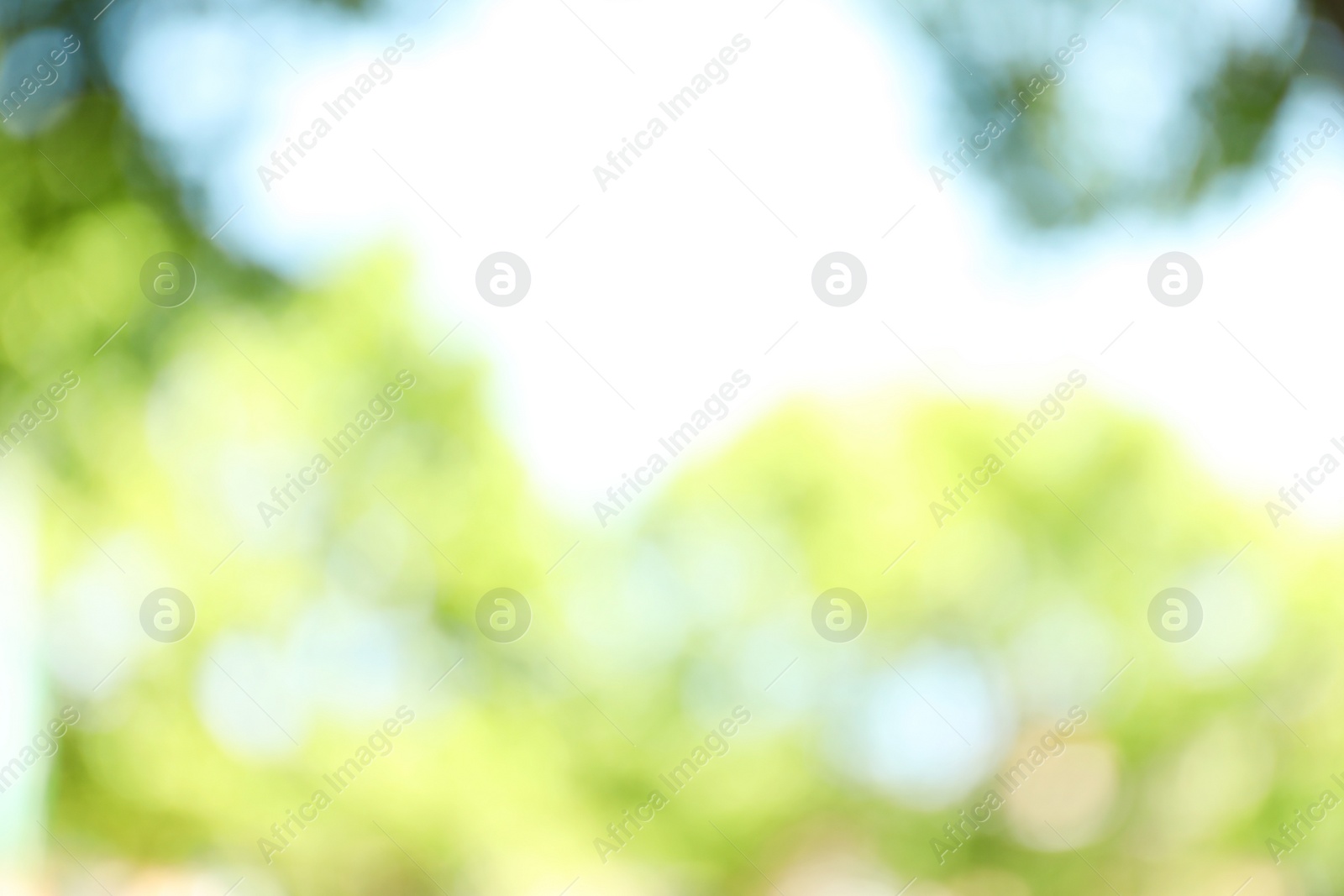 Photo of Blurred view of abstract green background. Bokeh effect