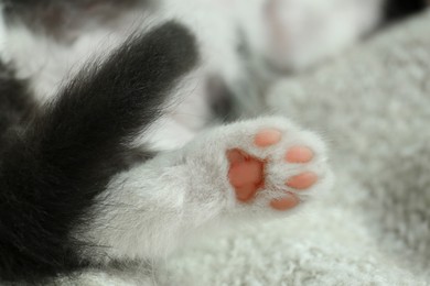 Photo of Cute baby kitten with funny paw on cozy blanket, closeup