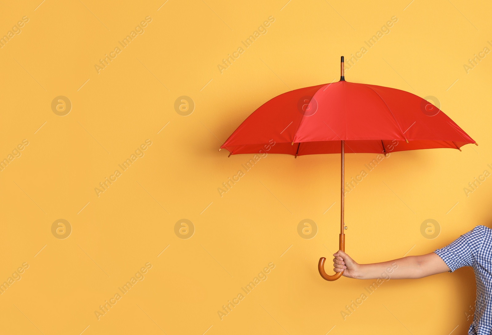 Photo of Person holding bright open umbrella on color background with space for design