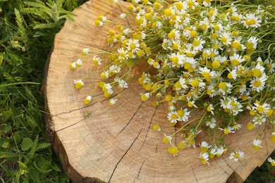Photo of Beautiful bouquet of chamomiles on stump outdoors, top view