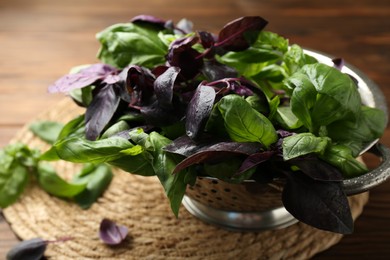 Photo of Metal colander with different fresh basil leaves on table, closeup