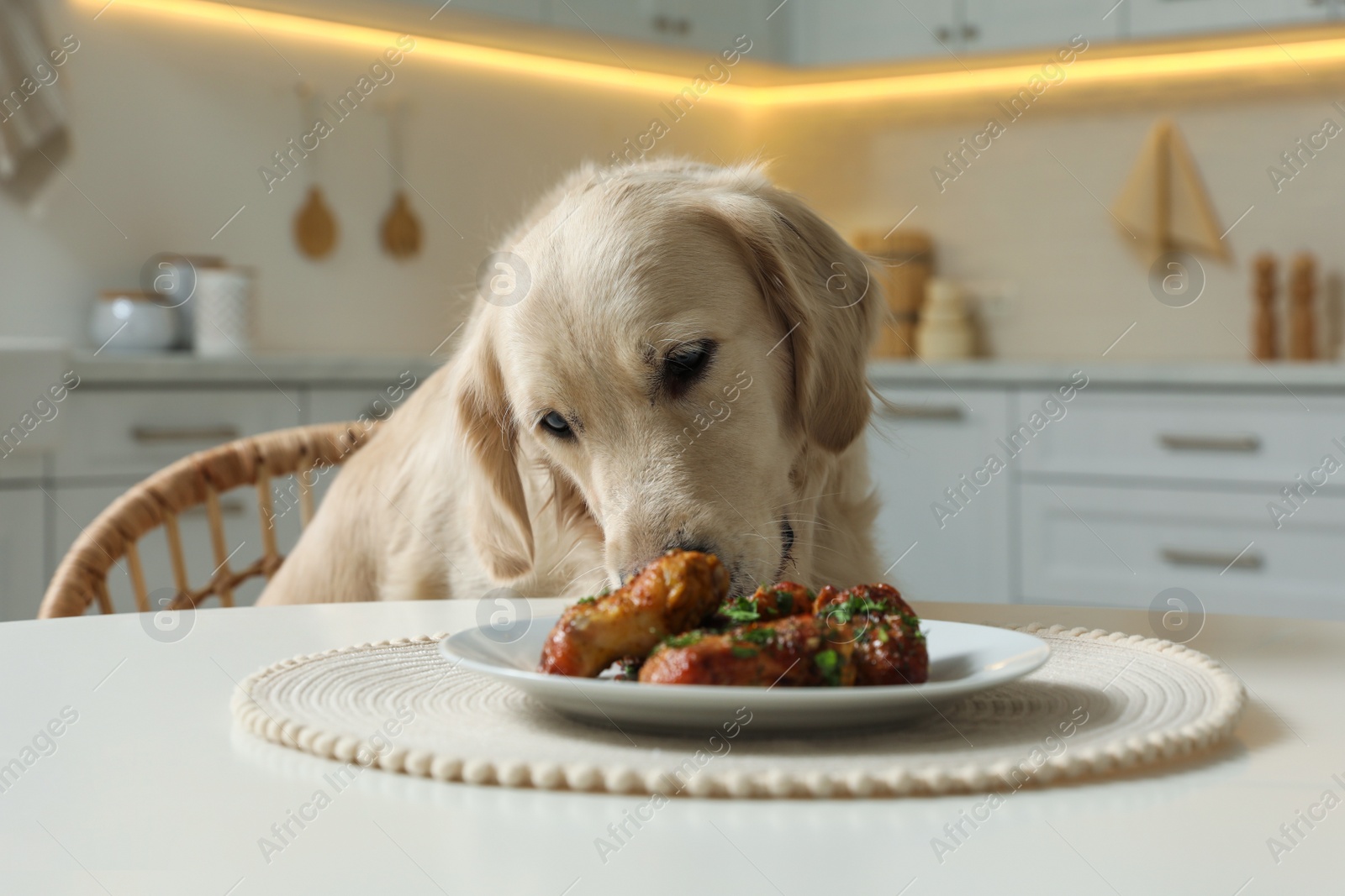 Photo of Cute dog trying to steal fried meat from table in kitchen