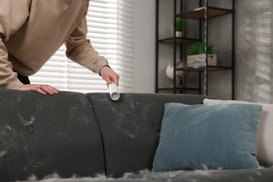 Pet shedding. Man with lint roller removing dog's hair from sofa at home, closeup