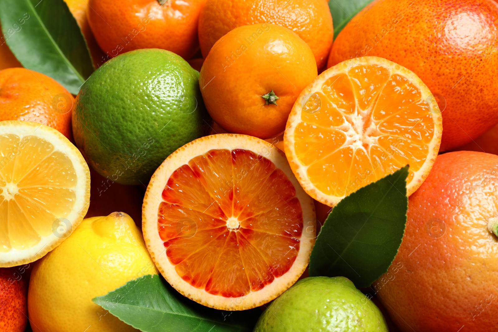 Photo of Different citrus fruits as background, top view