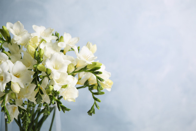 Photo of Beautiful freesia flowers on blue background, closeup. Space for text