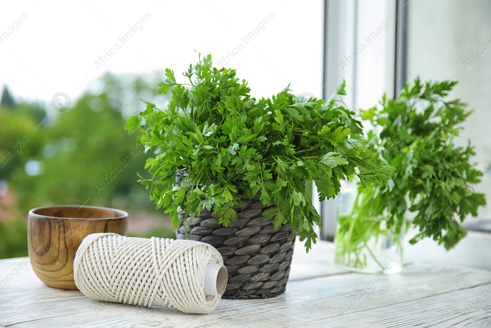 Photo of Wicker pot with fresh green parsley on window sill