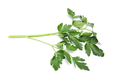 Photo of Fresh green organic parsley on white background