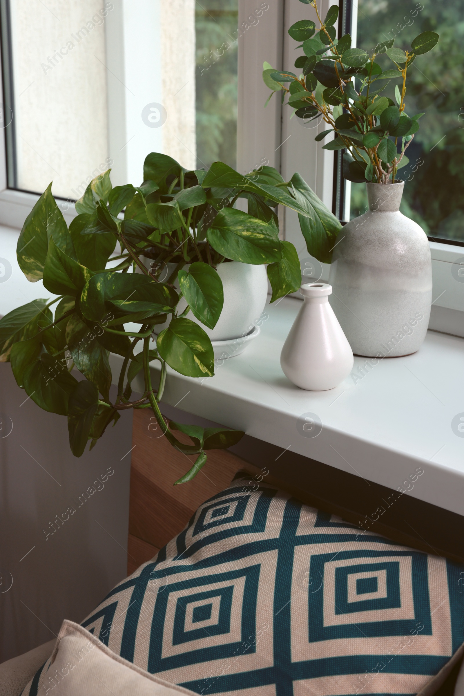 Photo of Many beautiful house plants on windowsill indoors. Home design idea